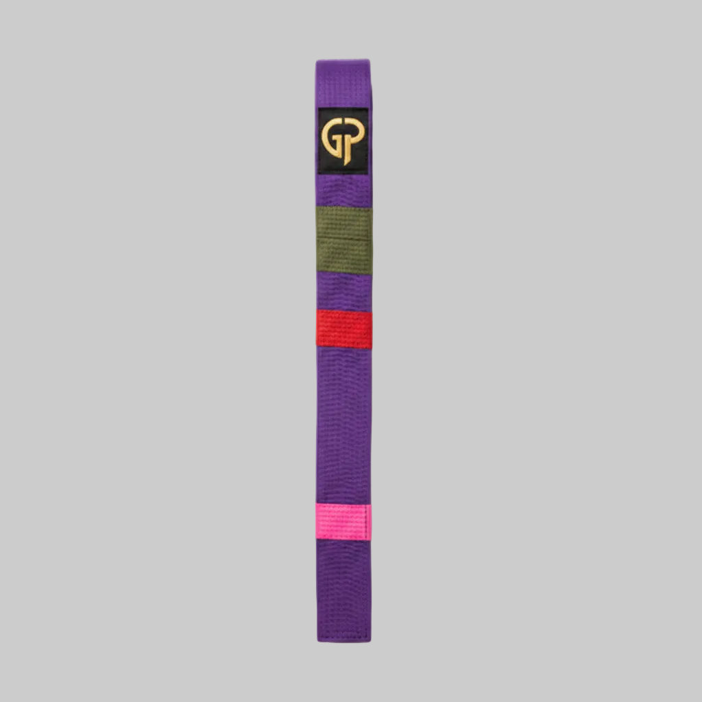 Custom Embroidered Striped Rank Martial Arts Belt.