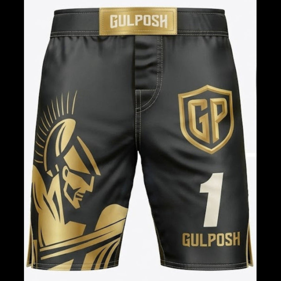 Gulposh Spartan Edition Pro MMA / Kickboxing Shorts (Stealth Black & Gold).