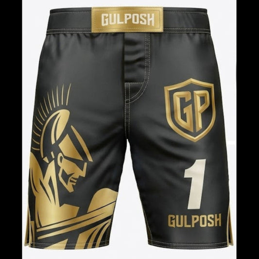 Gulposh Spartan Edition Pro MMA / Kickboxing Shorts (Stealth Black & Gold).