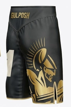 Gulposh Spartan Edition Pro MMA / Kickboxing Shorts (Stealth Black & Gold).
